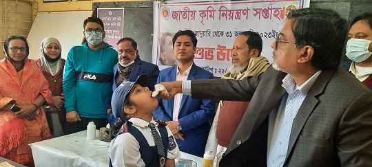 image-here